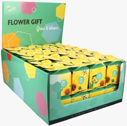 Buzzy Flower Gift (48x) Sunflower Helianthus (Display 48x)