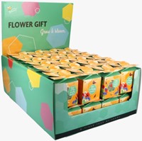 Buzzy Flower Gift Insects Flower Mix (1 gift box)-2