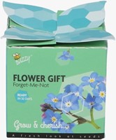 Buzzy flower gift (display 48x) Forget-me-not - Myosotis-3