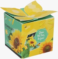 Buzzy Flower Gift Sunflower - Helianthus (1 gift box)-2