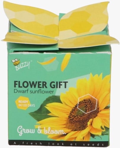 Buzzy Flower Gift Sunflower - Helianthus (1 gift box)