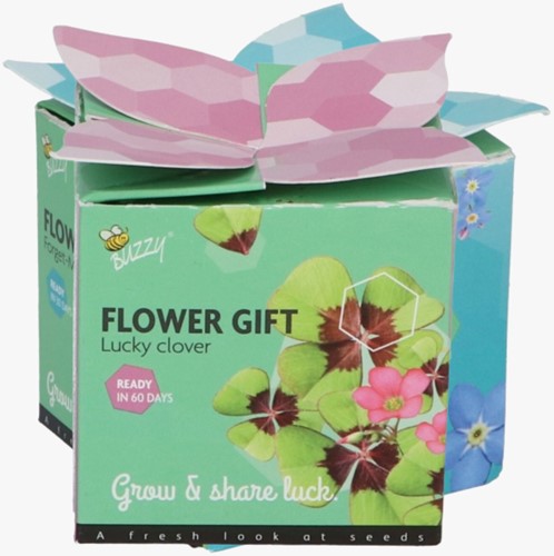 Buzzy Flower Gift (display 48x) Lucky Clover Trifolium repens-2