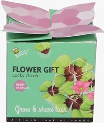 Buzzy Flower Gift Lucky Clover - Trifolium repens (1 gift box)