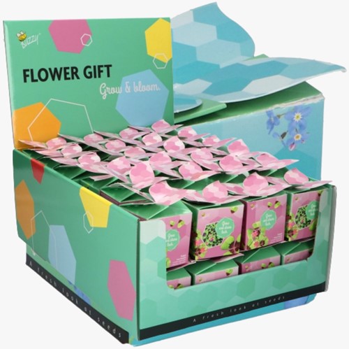 Buzzy Flower Gift (48x) Lucky Clover Trifolium repens (Display 48x)