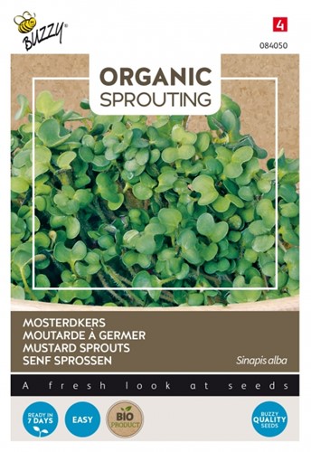 Mustard Sprouts - Buzzy Organic Sprouting