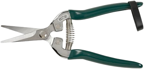 Fruit & Flower Snip - Burgon and Ball