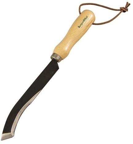 Asparagus Knife - Burgon and Ball