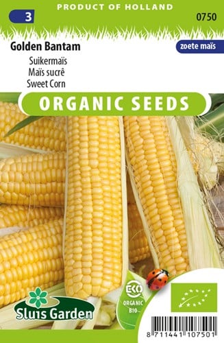Sweet Corn, Golden Bantam EKO