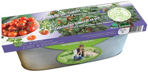 Kit Tomato Siderno F1 (pot-tomato)
