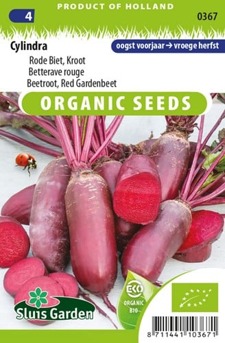 Beetroot, Red Gardenbeet Cylindra EKO