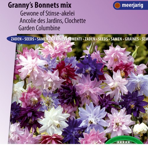 Columbine Granny's Bonnets mix - Aquilegia