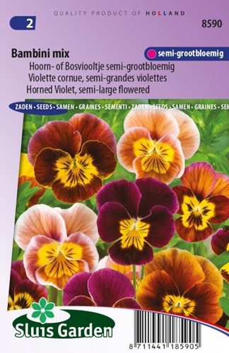 Horned Pansy Bambini Mix Viola Cornuta