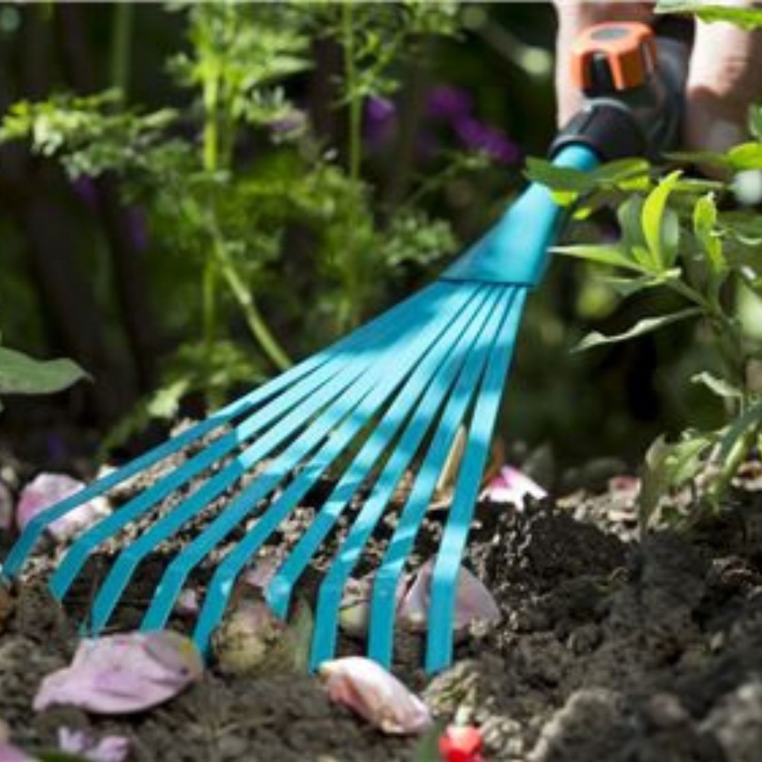 Buy Hand Rake 12Cm Combisystem Gardena online at Gardencentre Koeman