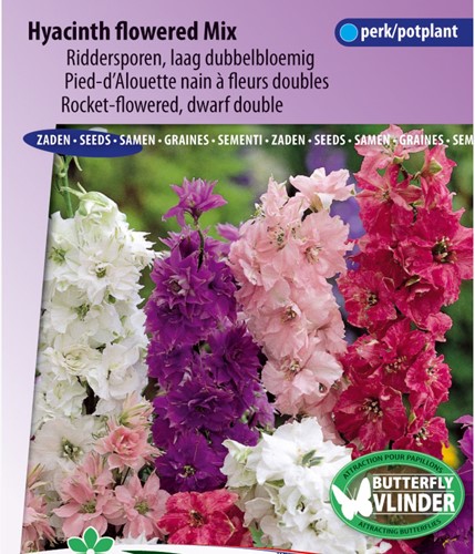 Larkspurs Rocket-flowered dwarf Mix - Delphinium