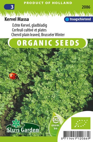 Chervil plain leaved EKO