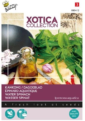 Kankong, Water Spinach - Xotica Collection