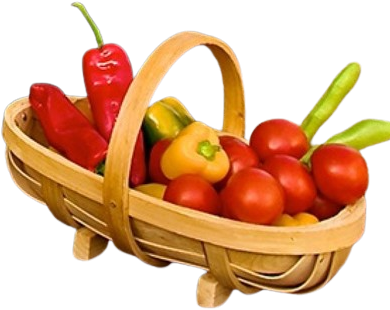 Traditional Trug - Medium - Burgon and Ball