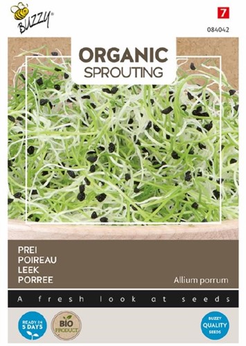 Organic Sprouting Leek BIO - Allium porrum