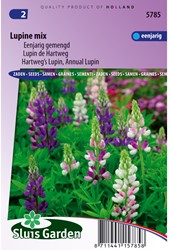 Lupin annual Giantflowered Mix - Lupinus