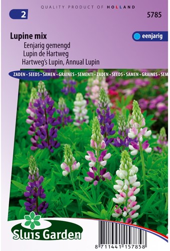 Lupin annual Giantflowered Mix - Lupinus