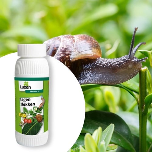 Metarex M snail and slug grain  250 gr. - Luxan