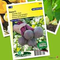 Beetroot, Red Gardenbeet Manzu F1-2