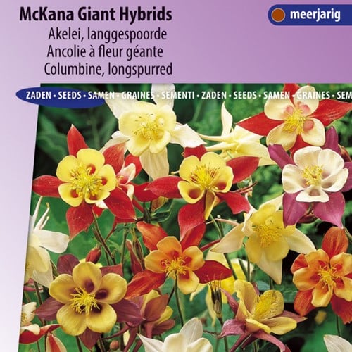 Columbine McKana Giant Hybrids (longspurred) - Aquilegia