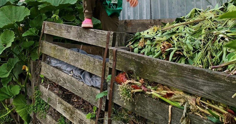 February garden tasks with Modeste Herwig – pruning, compost and early preparation
