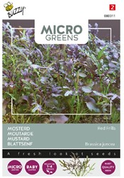 Mustard Red Frills - Buzzy Microgreens