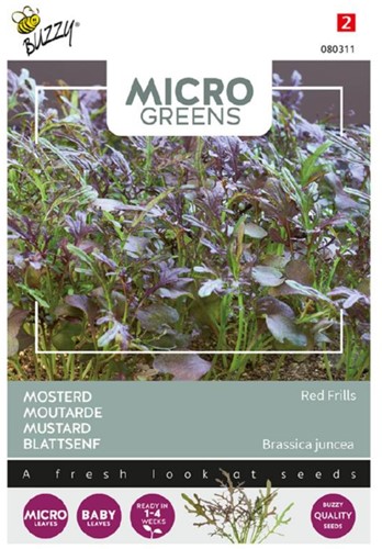 Mustard Red Frills - Buzzy Microgreens