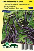 Dwarf French Bean Purple Queen - Phaseolus Vulgaris