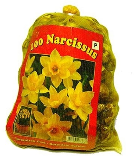 Daffodils Fantasy Mix XL-Pack - Narcissus