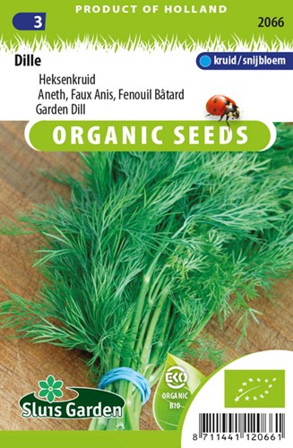 Dill Bouquet (Anethum graveolens) EKO