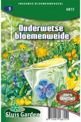 Old fashioned flowering meadow mix – Native wildflower mix