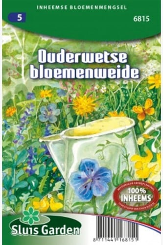 Old fashioned flowering meadow mix – Native wildflower mix