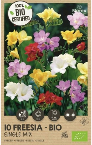 Biologische Bloembollen: Freesia Enkel Mix