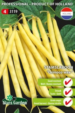 Dwarf French bean Orinoco wax - Phaseolus
