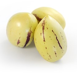 Pepino melon - Solanum muricatum