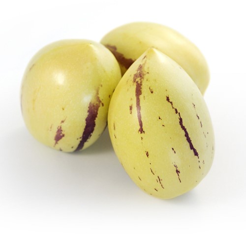 Pepino, Meloenpeer - Solanum muricatum