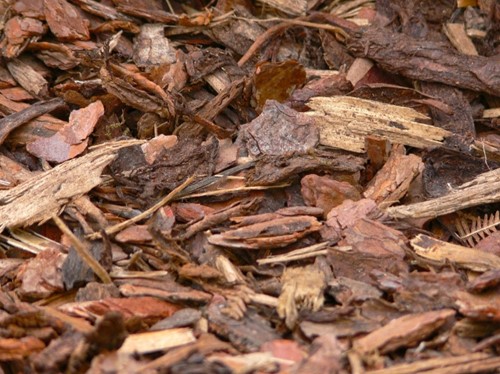 Bark Chippings 2.730 lt