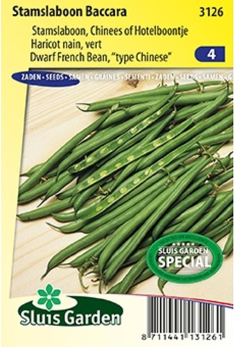 Dwarf French Bean Baccara - Phaseolus Vulgaris