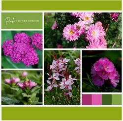 Ready-made Flower Border Pink (12 plants: 2m²)