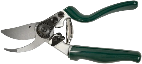 Professional Compact Bypass Secateur - Burgon & Ball