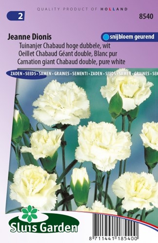 Carnation Jeanne Dionis  ? Dianthus Chabaud