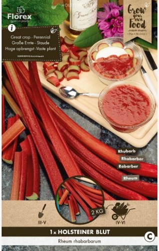 Rhubarb Holsteiner Blut