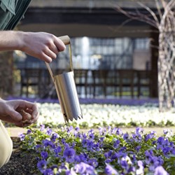 RHS Stainless Bulb Planter - Burgon and Ball