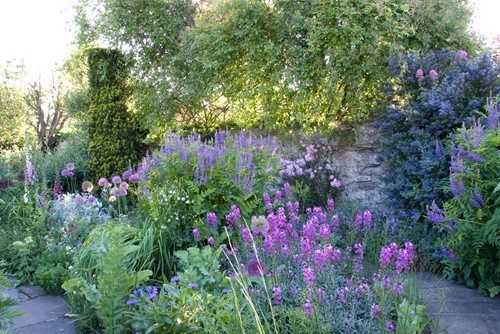 Romantic Purple border (with red / orange accents)
