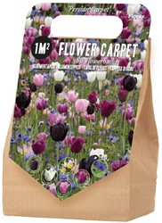 1 m² Persian Carpet Bulb Collection - 50 Flower bulbs