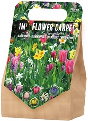 1 m² Bohemia Bulb Collection - 50 Flower bulbs