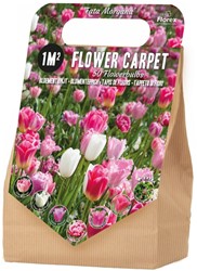1 m² Fata Morgana Bulb Collection - 50 Flower bulbs